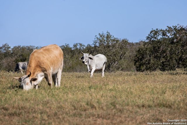 2400 Elm Creek, Seguin, TX 78155