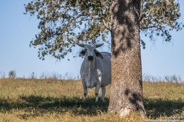 2400 Elm Creek, Seguin, TX 78155