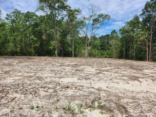 Lot 43 Pinewood Drive, Defuniak Springs, FL 32433