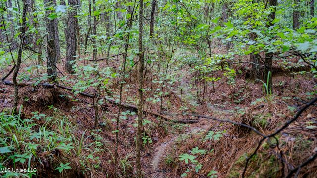 0000 Henderson Road, Jackson, MS 39272