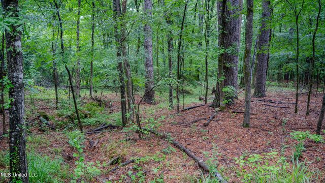0000 Henderson Road, Jackson, MS 39272