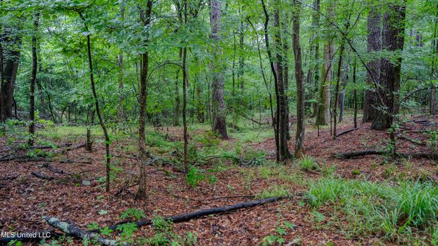 0000 Henderson Road, Jackson, MS 39272