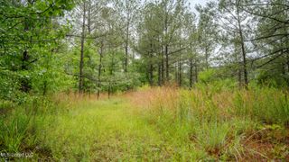 0000 Henderson Road, Jackson, MS 39272