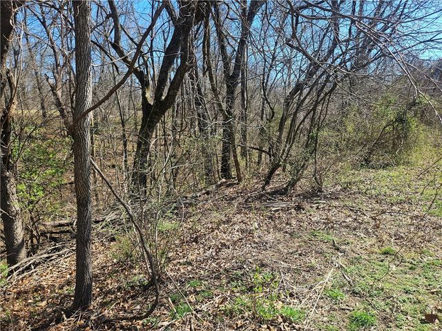 1307 Honeysuckle Street, Lowell, AR 72745