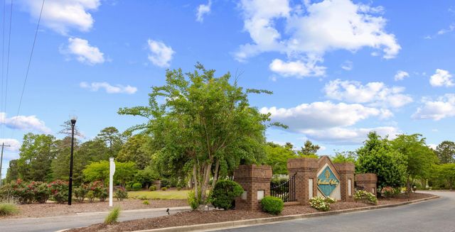 386 Long Meadow Dr., Loris, SC 29569