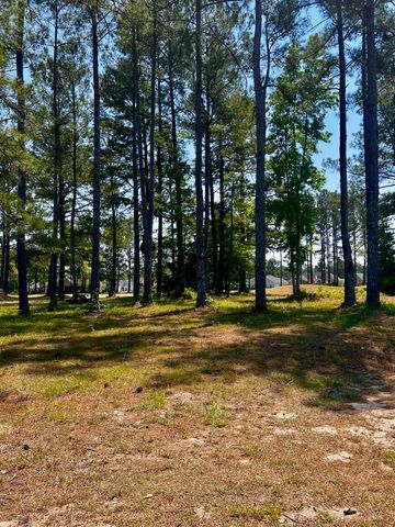 386 Long Meadow Dr., Loris, SC 29569