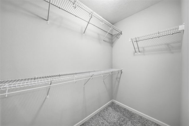 307 SW 50th Street, Ankeny, IA 50023