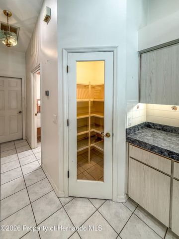 1463 Brigadier Drive, Spring Hill, FL 34608