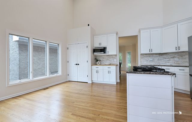 21827 W RIVIERA Court, Mundelein, IL 60060
