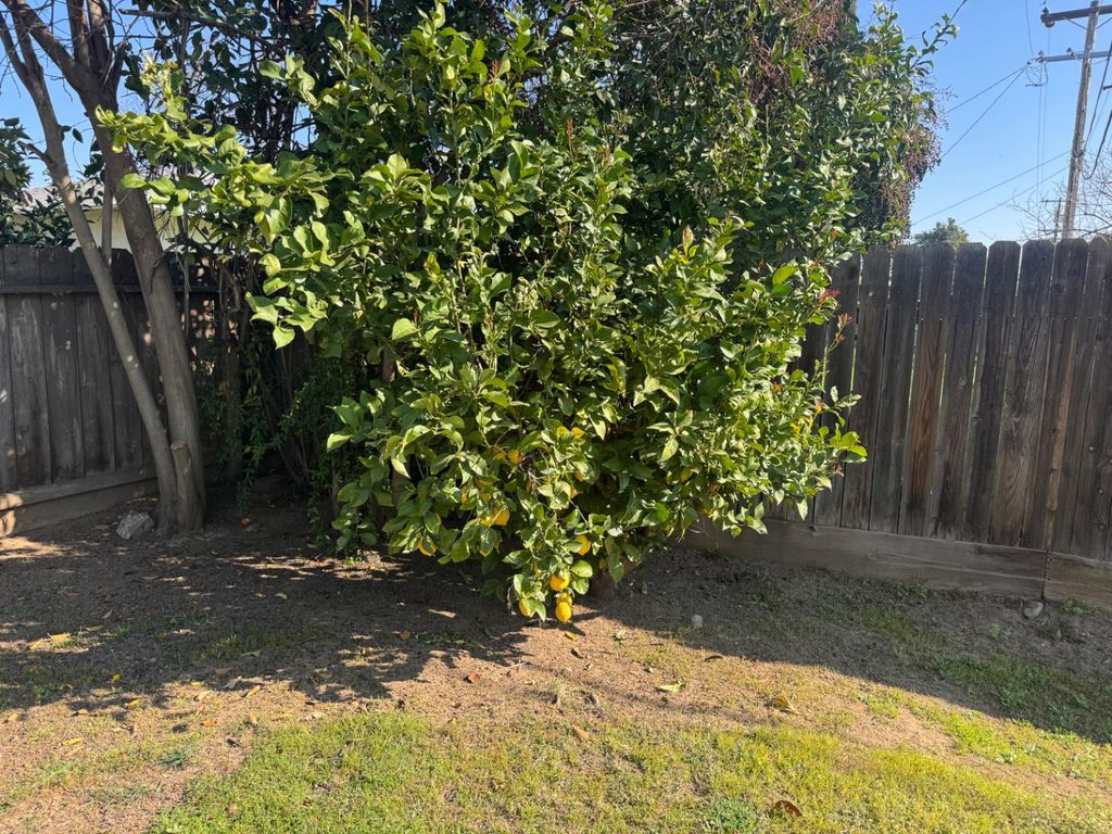 Image 21 of property listing at 4656 N 5th Street, Fresno, CA 93726