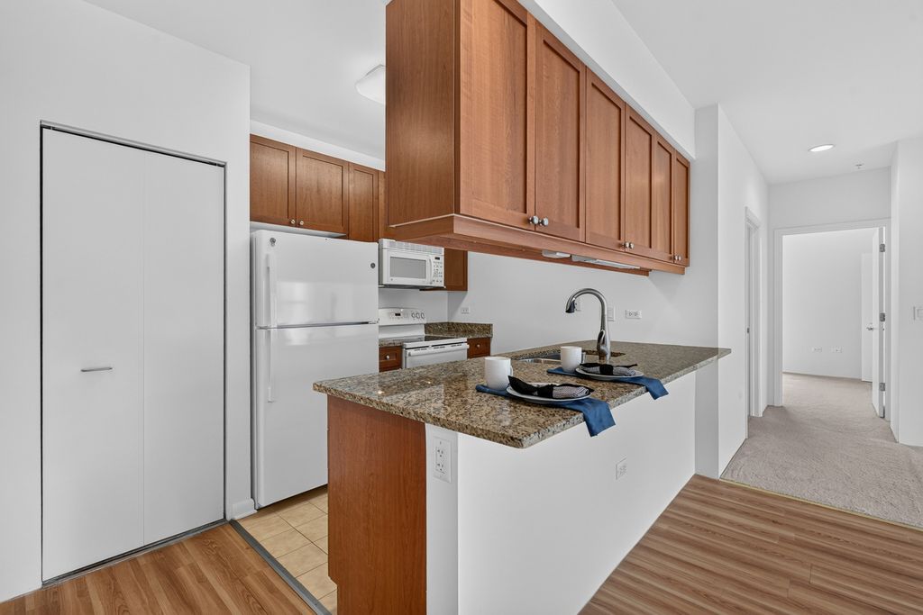 1572 Maple Avenue 406, Evanston, IL 60201 — photo 3