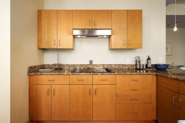 2024 2nd Ave N Unit 1701, Birmingham, AL 35203