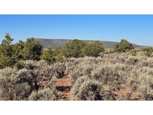 3715 Hartgrave Rd, Fort Garland, CO 81133