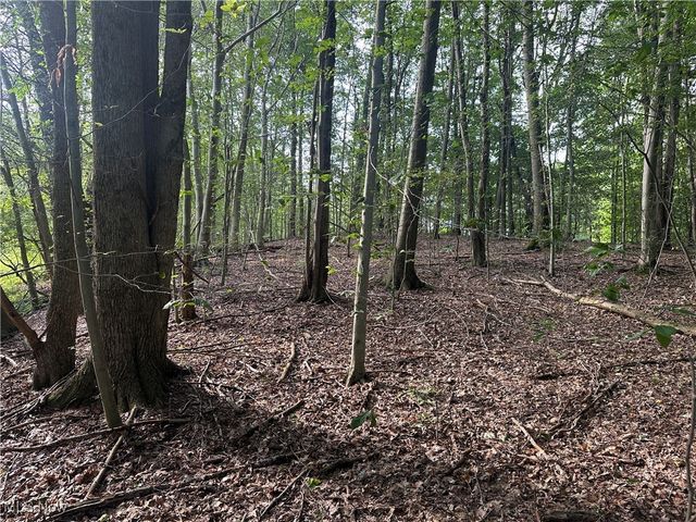 15300 Fedeli Lane, Novelty, OH 44072