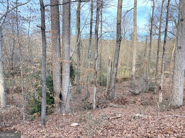 235 Riverbend Drive, Covington, GA 30014