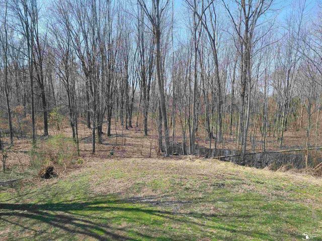 11581 Dixon Road, Raisinville Twp, MI 48161