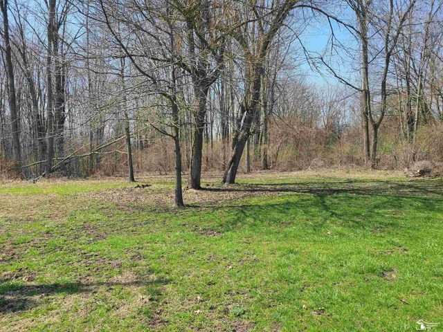 11581 Dixon Road, Raisinville Twp, MI 48161