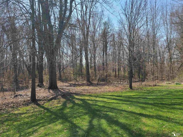 11581 Dixon Road, Raisinville Twp, MI 48161