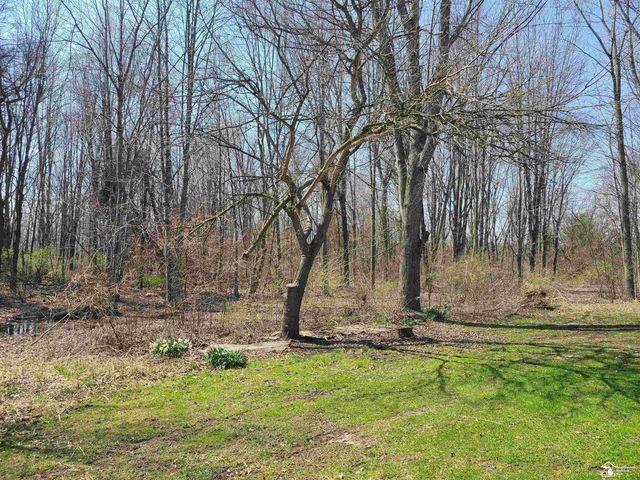 11581 Dixon Road, Raisinville Twp, MI 48161