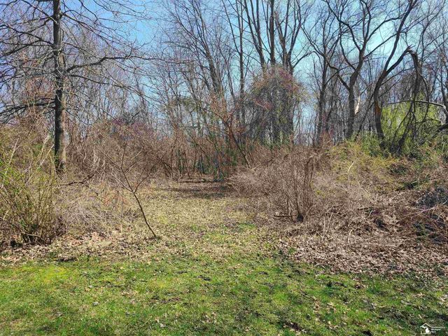 11581 Dixon Road, Raisinville Twp, MI 48161