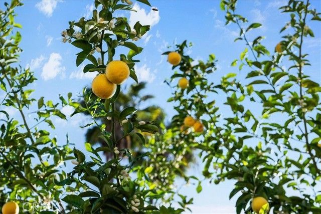 2220 Mountain, Duarte, CA 91010