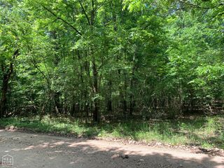 10 County Road 331 Acres, Bono, AR 72416