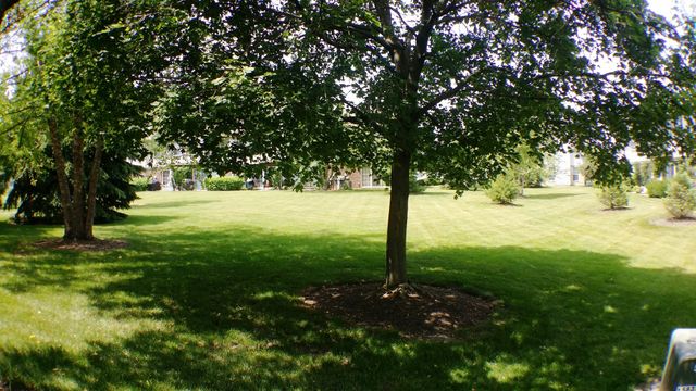 1934 Heron Avenue D, Schaumburg, IL 60193