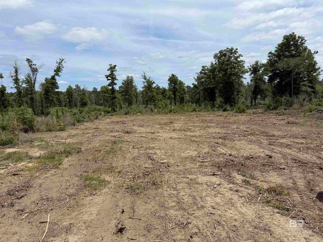 0 Phillips Road, Loxley, AL 36551