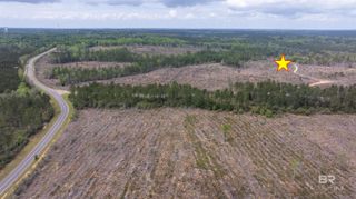 0 Phillips Road, Loxley, AL 36551