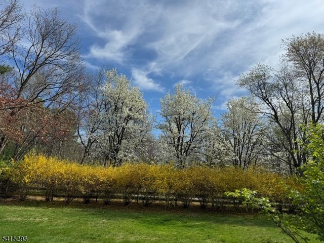 447 Rockaway Valley Rd, Boonton Twp., NJ 07005