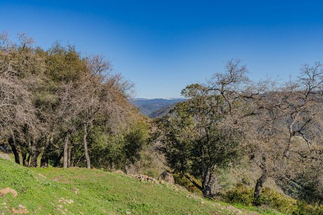 20230 Canyon View Rd, Jackson, CA 95642