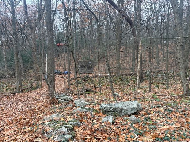 150 Maple Ln, Bullskin Twp, PA 15610