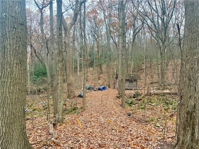 150 Maple Ln, Bullskin Twp, PA 15610