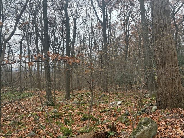 150 Maple Ln, Bullskin Twp, PA 15610