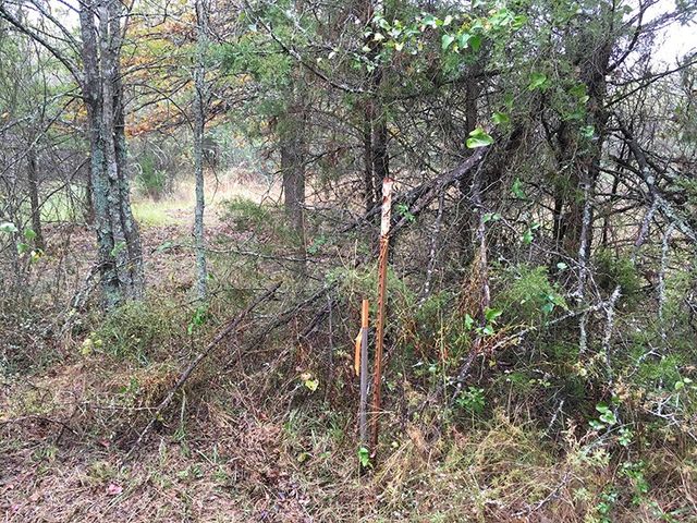 TBD CR 3150, Emory, TX 75440