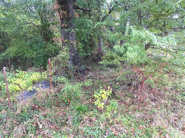 TBD CR 3150, Emory, TX 75440