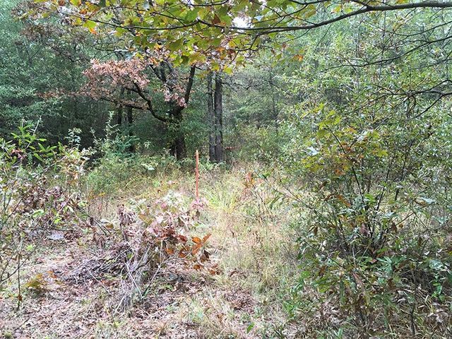 TBD CR 3150, Emory, TX 75440
