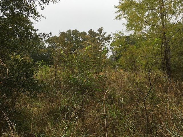 TBD CR 3150, Emory, TX 75440