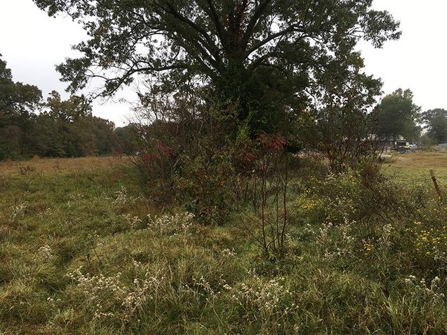 TBD CR 3150, Emory, TX 75440