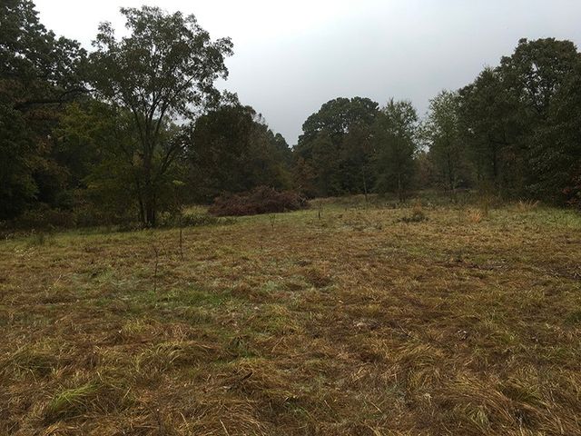 TBD CR 3150, Emory, TX 75440