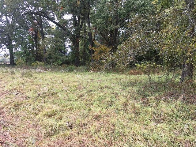 TBD CR 3150, Emory, TX 75440