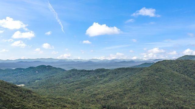 Lot 9 Laurel Creek Trail, Blue Ridge, GA 30513