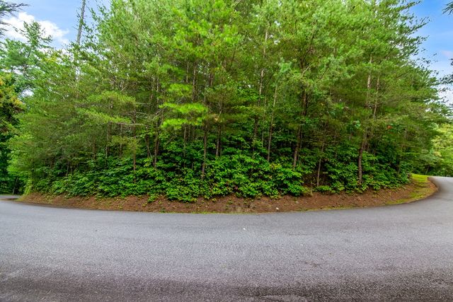 Lot 9 Laurel Creek Trail, Blue Ridge, GA 30513