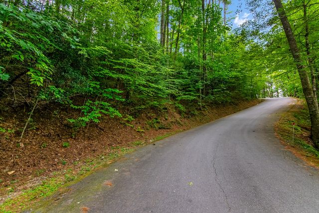 Lot 9 Laurel Creek Trail, Blue Ridge, GA 30513