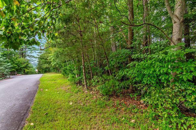Lot 9 Laurel Creek Trail, Blue Ridge, GA 30513