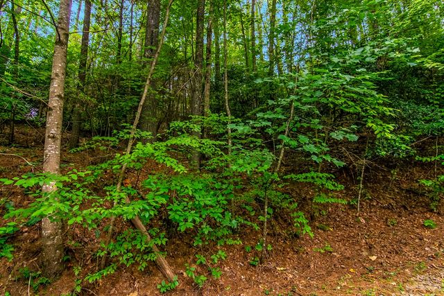 Lot 9 Laurel Creek Trail, Blue Ridge, GA 30513