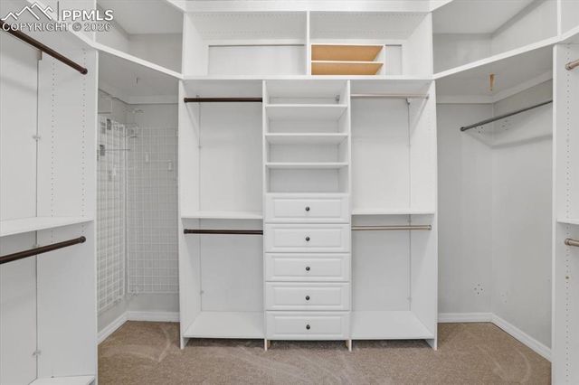 20305 True Vista Circle, Monument, CO 80132