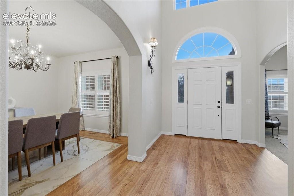 20305 True Vista Circle, Monument, CO 80132 — photo 5