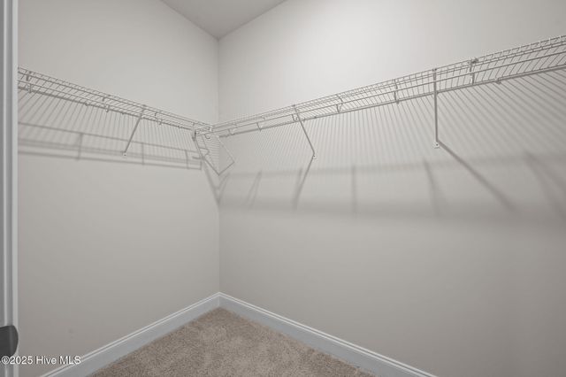 225 Lake Tyler Drive, New Bern, NC 28560