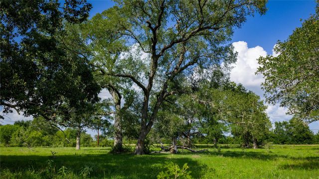 TBD FM 2104, Smithville, TX 78957